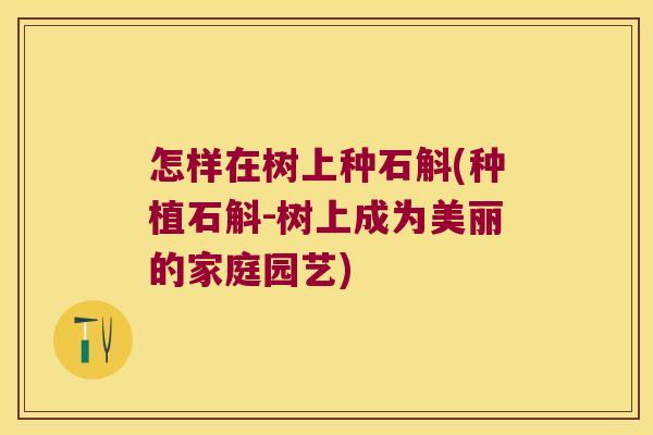 怎样在树上种石斛(种植石斛-树上成为美丽的家庭园艺)