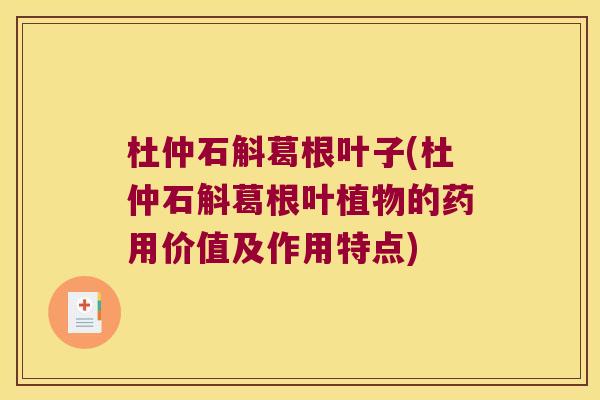 杜仲石斛葛根叶子(杜仲石斛葛根叶植物的药用价值及作用特点) 杜仲石斛葛根叶子(杜仲石斛葛根叶植物的药用价值及作用特点)
