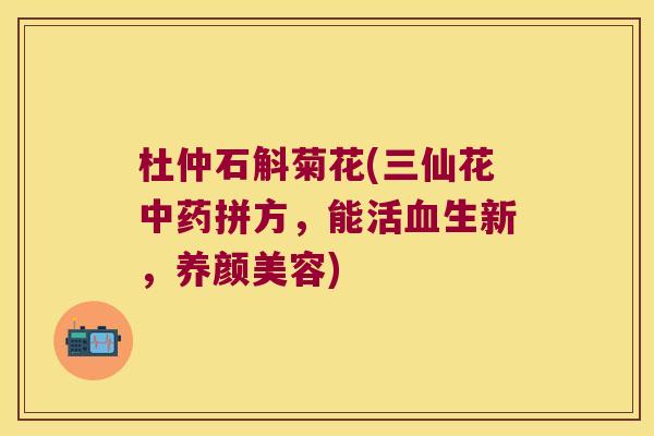 杜仲石斛菊花(三仙花中药拼方，能活血生新，养颜美容)