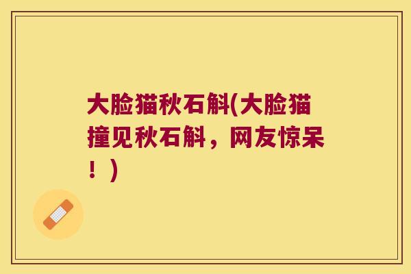 大脸猫秋石斛(大脸猫撞见秋石斛，网友惊呆！)