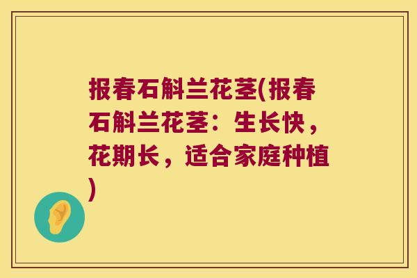 报春石斛兰花茎(报春石斛兰花茎：生长快，花期长，适合家庭种植)