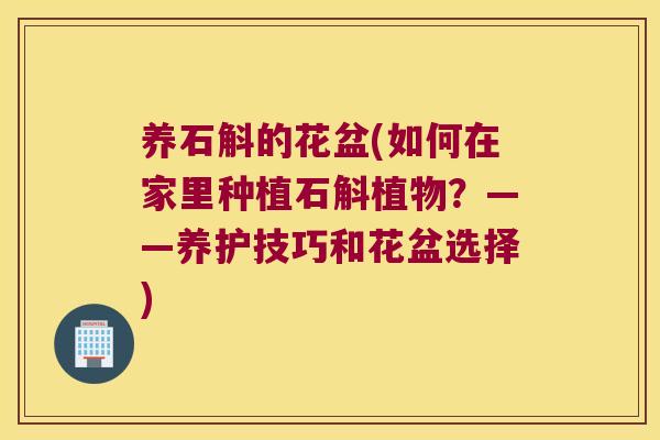 养石斛的花盆(如何在家里种植石斛植物？——养护技巧和花盆选择)