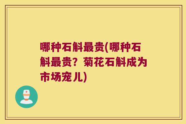 哪种石斛最贵(哪种石斛最贵？菊花石斛成为市场宠儿)