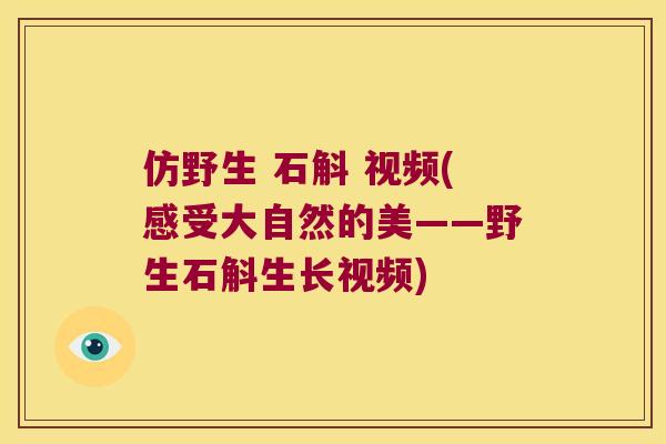 仿野生 石斛 视频(感受大自然的美——野生石斛生长视频) 仿野生 石斛 视频(感受大自然的美——野生石斛生长视频)