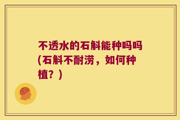 不透水的石斛能种吗吗(石斛不耐涝，如何种植？)