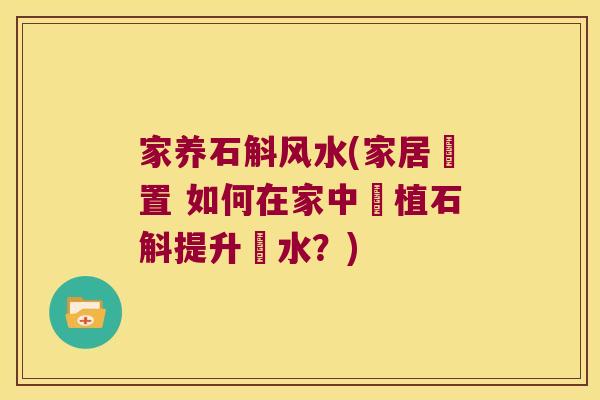 家养石斛风水(家居佈置 如何在家中種植石斛提升風水？)
