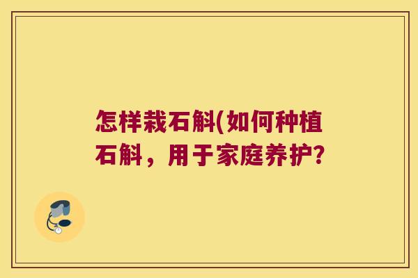 怎样栽石斛(如何种植石斛，用于家庭养护？