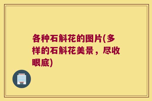 各种石斛花的图片(多样的石斛花美景，尽收眼底)
