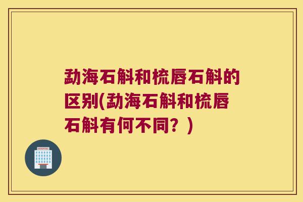 勐海石斛和梳唇石斛的区别(勐海石斛和梳唇石斛有何不同？)