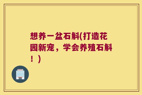 想养一盆石斛(打造花园新宠，学会养殖石斛！)