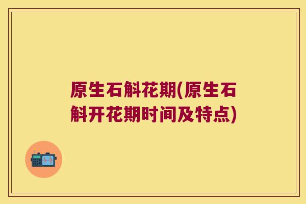 原生石斛花期(原生石斛开花期时间及特点) 原生石斛花期(原生石斛开花期时间及特点)