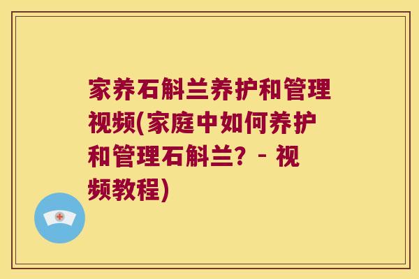 家养石斛兰养护和管理视频(家庭中如何养护和管理石斛兰？- 视频教程)