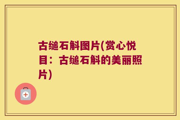 古缒石斛图片(赏心悦目：古缒石斛的美丽照片)