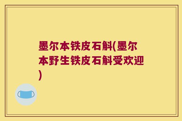 墨尔本铁皮石斛(墨尔本野生铁皮石斛受欢迎)