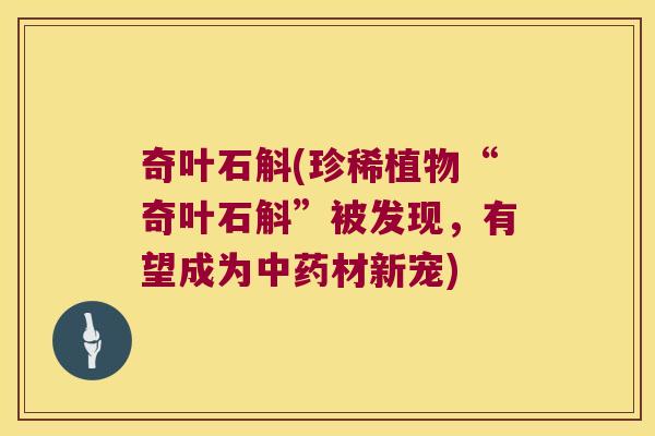奇叶石斛(珍稀植物“奇叶石斛”被发现，有望成为材新宠)
