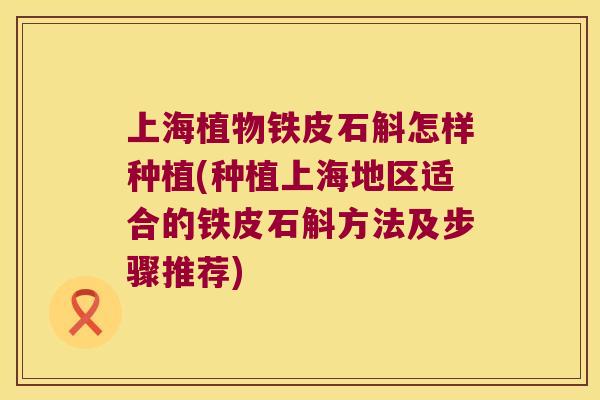 上海植物铁皮石斛怎样种植(种植上海地区适合的铁皮石斛方法及步骤推荐)