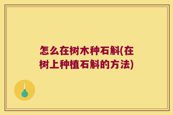 怎么在树木种石斛(在树上种植石斛的方法)