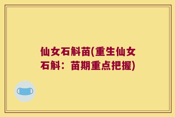 仙女石斛苗(重生仙女石斛：苗期重点把握)