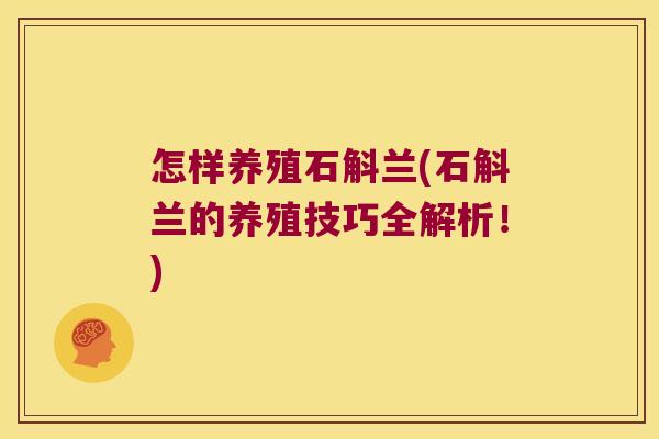 怎样养殖石斛兰(石斛兰的养殖技巧全解析!) 怎样养殖石斛兰(石斛兰的养殖技巧全解析!)