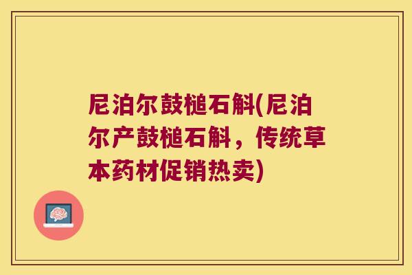 尼泊尔鼓槌石斛(尼泊尔产鼓槌石斛，传统草本药材促销热卖)