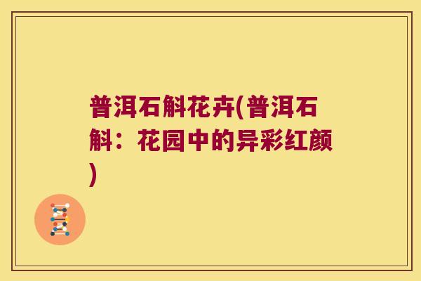 普洱石斛花卉(普洱石斛：花园中的异彩红颜)