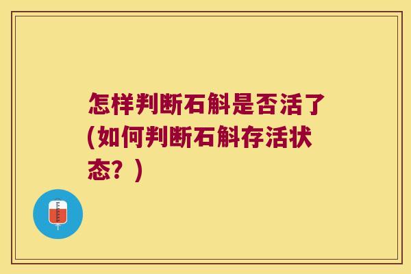 怎样判断石斛是否活了(如何判断石斛存活状态？)