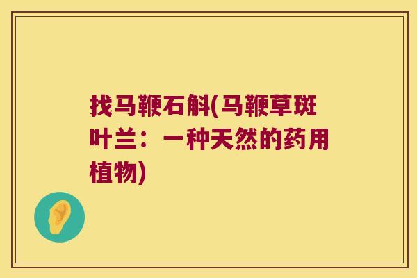 找马鞭石斛(马鞭草斑叶兰：一种天然的药用植物)
