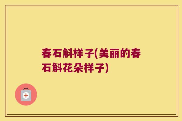 春石斛样子(美丽的春石斛花朵样子) 春石斛样子(美丽的春石斛花朵样子)