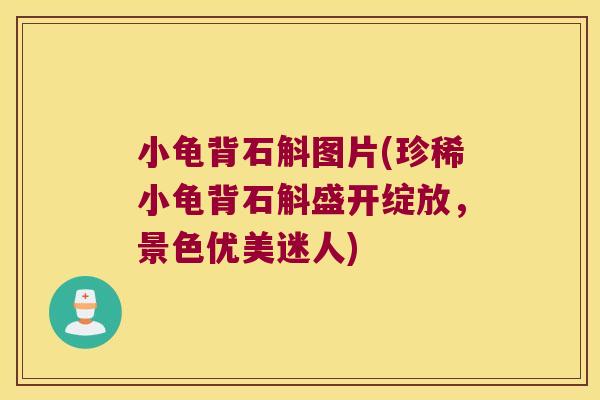 小龟背石斛图片(珍稀小龟背石斛盛开绽放，景色优美迷人)