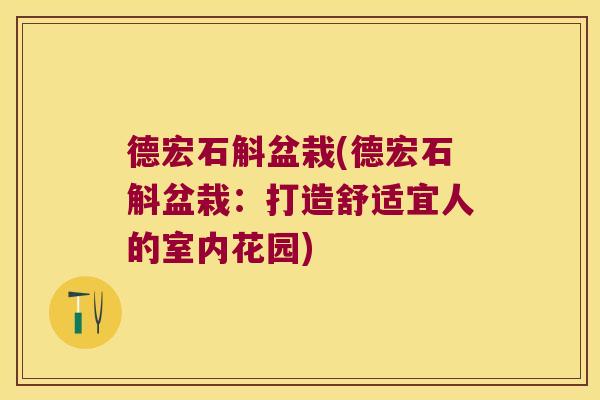 德宏石斛盆栽(德宏石斛盆栽：打造舒适宜人的室内花园)