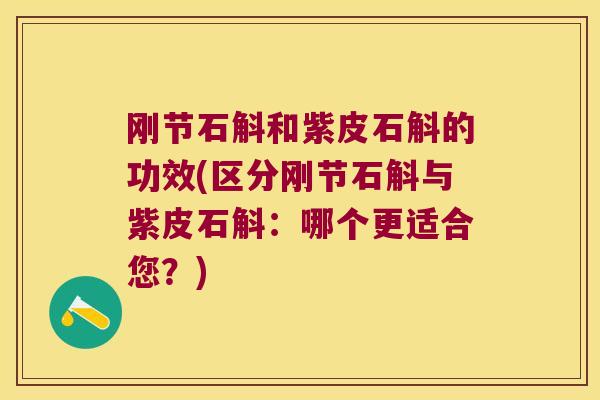 刚节石斛和紫皮石斛的功效(区分刚节石斛与紫皮石斛：哪个更适合您？)