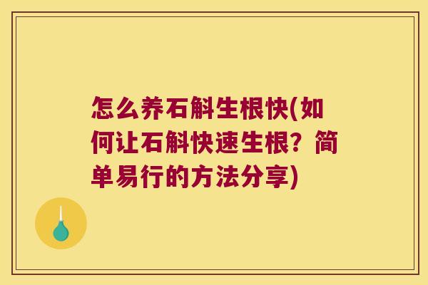 怎么养石斛生根快(如何让石斛快速生根？简单易行的方法分享)