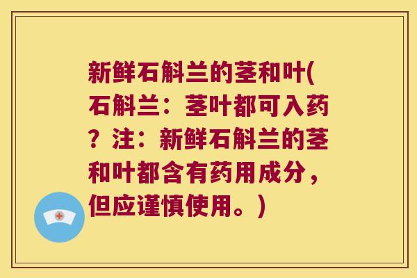 新鲜石斛兰的茎和叶(石斛兰：茎叶都可入药？注：新鲜石斛兰的茎和叶都含有药用成分，但应谨慎使用。)