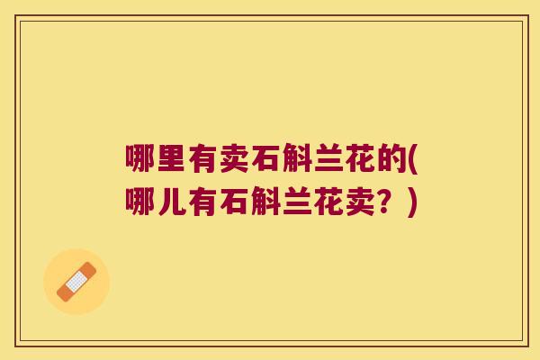 哪里有卖石斛兰花的(哪儿有石斛兰花卖？)