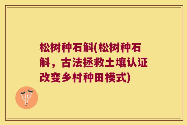 松树种石斛(松树种石斛，古法拯救土壤认证改变乡村种田模式)