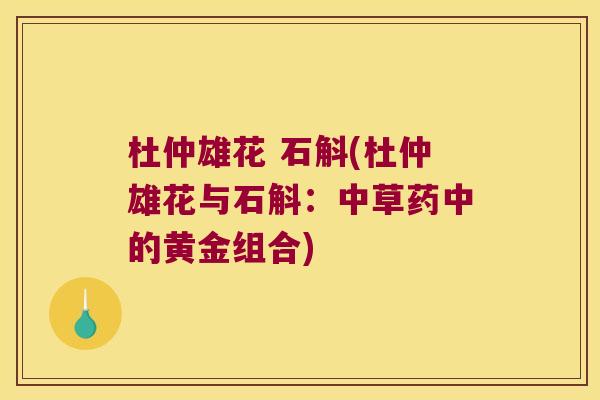 杜仲雄花 石斛(杜仲雄花与石斛：中草药中的黄金组合)