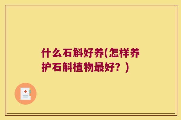 什么石斛好养(怎样养护石斛植物最好？)