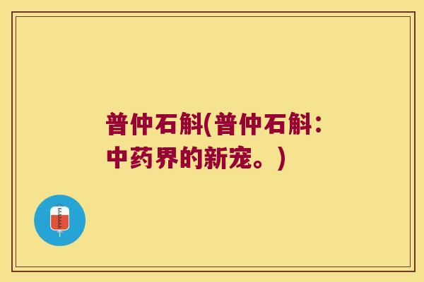 普仲石斛(普仲石斛:界的新宠。) 普仲石斛(普仲石斛:界的新宠。)