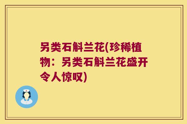 另类石斛兰花(珍稀植物：另类石斛兰花盛开令人惊叹)