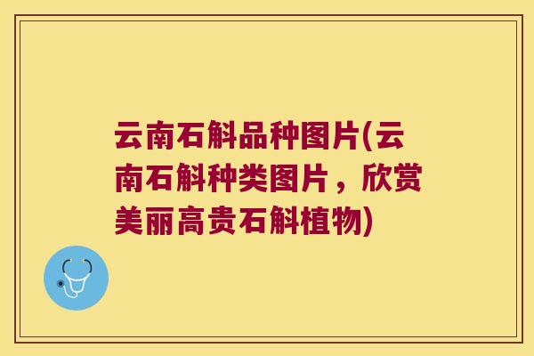 云南石斛品种图片(云南石斛种类图片，欣赏美丽高贵石斛植物)