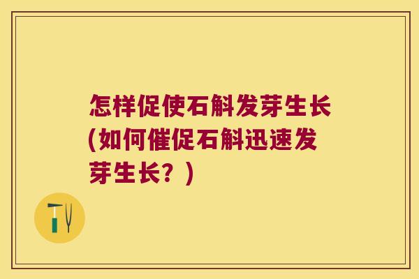 怎样促使石斛发芽生长(如何催促石斛迅速发芽生长？)
