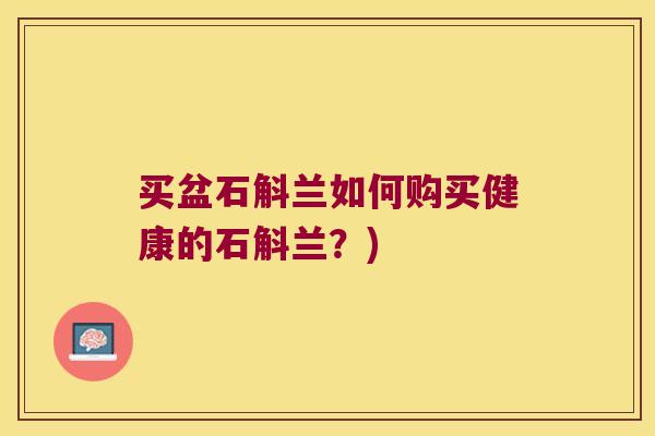买盆石斛兰如何购买健康的石斛兰？)