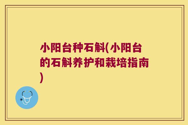 小阳台种石斛(小阳台的石斛养护和栽培指南)