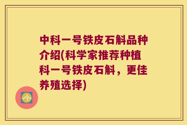 中科一号铁皮石斛品种介绍(科学家推荐种植科一号铁皮石斛，更佳养殖选择)