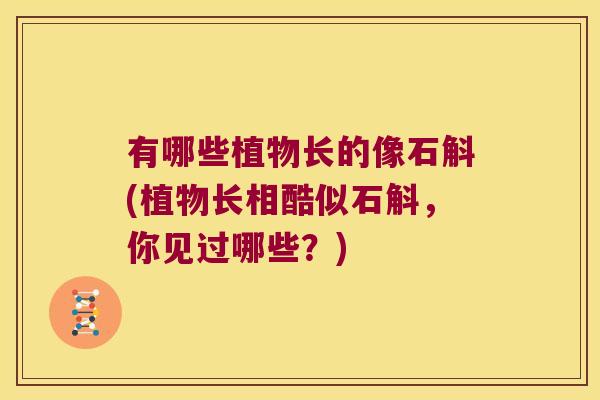 有哪些植物长的像石斛(植物长相酷似石斛,你见过哪些?) 有哪些植物长的像石斛(植物长相酷似石斛,你见过哪些?)