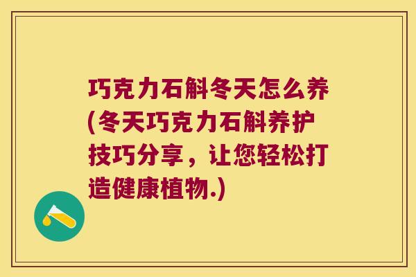 巧克力石斛冬天怎么养(冬天巧克力石斛养护技巧分享，让您轻松打造健康植物.)
