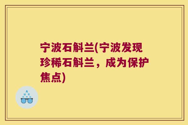 宁波石斛兰(宁波发现珍稀石斛兰，成为保护焦点)