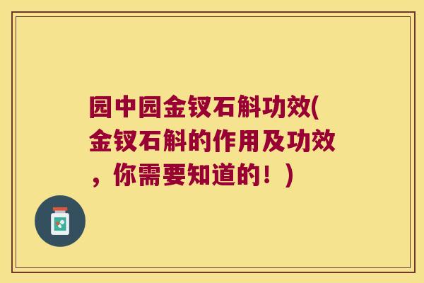园中园金钗石斛功效(金钗石斛的作用及功效，你需要知道的！)