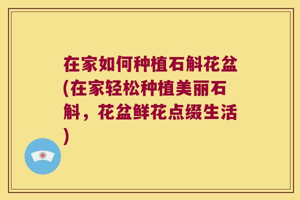 在家如何种植石斛花盆(在家轻松种植美丽石斛，花盆鲜花点缀生活)