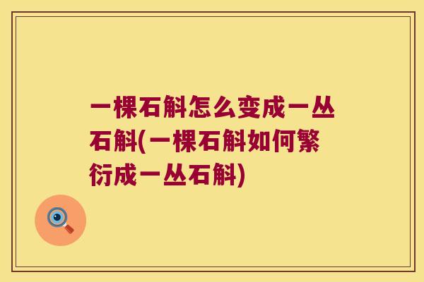 一棵石斛怎么变成一丛石斛(一棵石斛如何繁衍成一丛石斛) 一棵石斛怎么变成一丛石斛(一棵石斛如何繁衍成一丛石斛)
